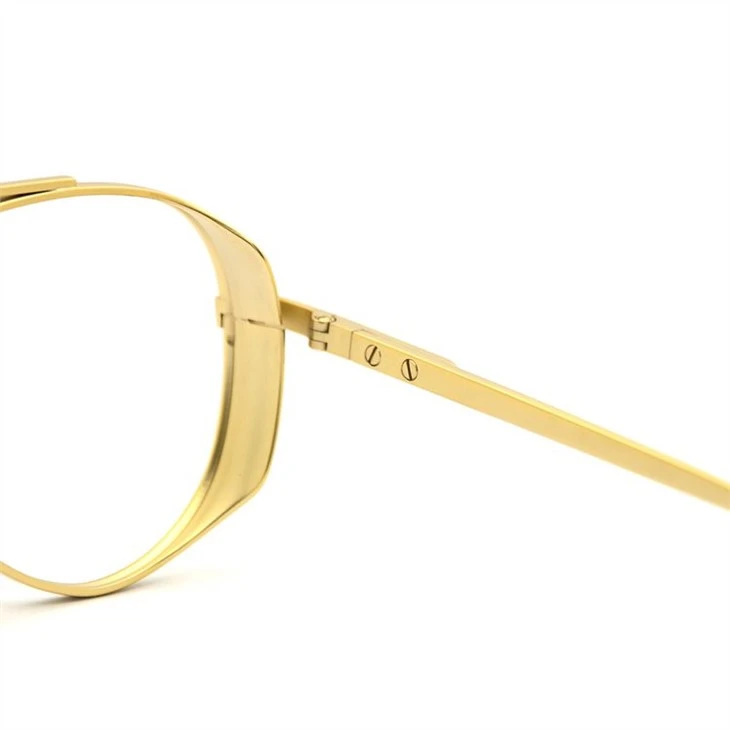 Fashion Frames Glasses Designer