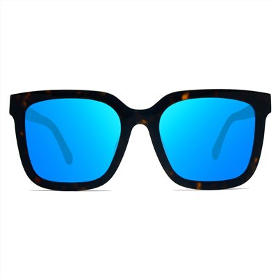 পুরুষদের জন্য অ্যাসিটেট সানগ্লাস